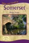 Image for Drive and Stroll in Somerset