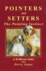 Image for Pointers and Setters