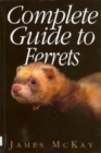 Image for Complete Guide to Ferrets