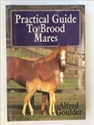 Image for Practical Guide to Brood Mares