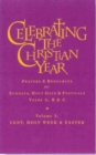 Image for Celebrating the Christian Year - Volume 2