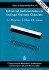 Image for Enhanced Sedimentation in Inclined Fracture Channels