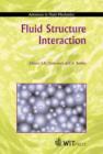 Image for Fluid structure interaction : 1st