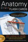 Image for Anatomy Colour-in Flash Cards