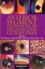 Image for Anterior Segment Intraocular Inflammation Guidelines : Guidelines