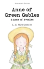 Image for Anne of Green Gables &amp; Anne of Avonlea