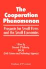 Image for The Co-operation Phenomenon - Prospects for Small Firms and the Small Economies