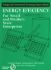 Image for Energy Efficiency for Small and Medium Enterprises