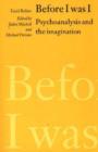Image for Before I was I : Psychoanalysis and the Imagination