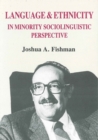 Image for Language and Ethnicity in Minority Sociolinguistic Perspective