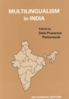 Image for Multilingualism in India