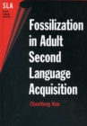Image for Fossilization in adult second language acquisition