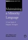 Image for Maintaining a Minority Language