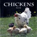 Image for CHICKENS