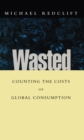 Image for Wasted  : counting the costs of global consumption