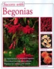 Image for Success with begonias