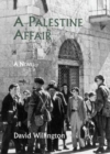 Image for A Palestine affair  : a novel