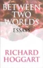 Image for Between two worlds  : essays