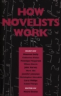 Image for How Novelists Work
