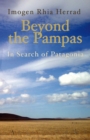 Image for Beyond the pampas: in search of Patagonia