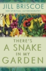 Image for There&#39;s a snake in my garden  : a spiritual autobiography