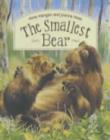 Image for The smallest bear