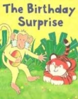 Image for BIRTHDAY SURPRISE