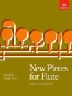 Image for New Pieces for Flute, Book II
