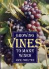 Image for Growing vines to make wines