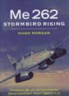 Image for STORMBIRD RISING ME 262