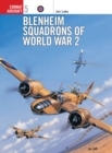Image for Blenheim Squadrons of World War 2
