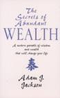 Image for The secrets of abundant wealth  : a modern parable of wisdom and wealth that will change your life