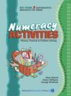Image for Numeracy activities  : plenary, practical &amp; problem solving