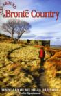 Image for Walks Around Bronte Country
