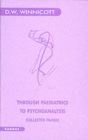 Image for Through paediatrics to psychoanalysis  : collected papers