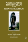 Image for Psychoanalytic psychotherapy in the Kleinian tradition