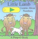 Image for Little Lamb learns about numbers