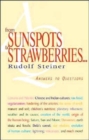 Image for From Sunspots to Strawberries : Answers to Questions