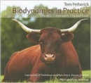Image for Biodynamics in practice  : life on a community owned farm