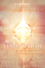Image for A Drop of Light: Educating for the A-Ha Moment