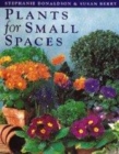 Image for PLANTS FOR SMALL SPACES