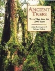 Image for Ancient trees  : trees that live for 1000 years