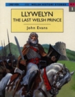 Image for Welsh History Stories: Llywelyn the Last Prince