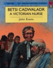 Image for Welsh History Stories: Betsi Cadwaladr, A Victorian Nurse