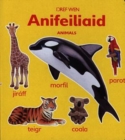 Image for Anifeileaid : Animals