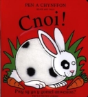 Image for Cyfres Pen a Chynffon: Cnoi!