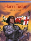 Image for Storiau Hanes Cymru: Harri Tudur