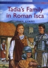 Image for Welsh History Stories: Tadia&#39;s Family in Roman Isca (Big Book)