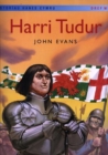 Image for Storiau Hanes Cymru: Harri Tudur (Llyfr Mawr)