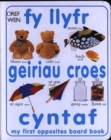 Image for Fy Llyfr Geiriau Croes Cyntaf/My First Opposites Board Book